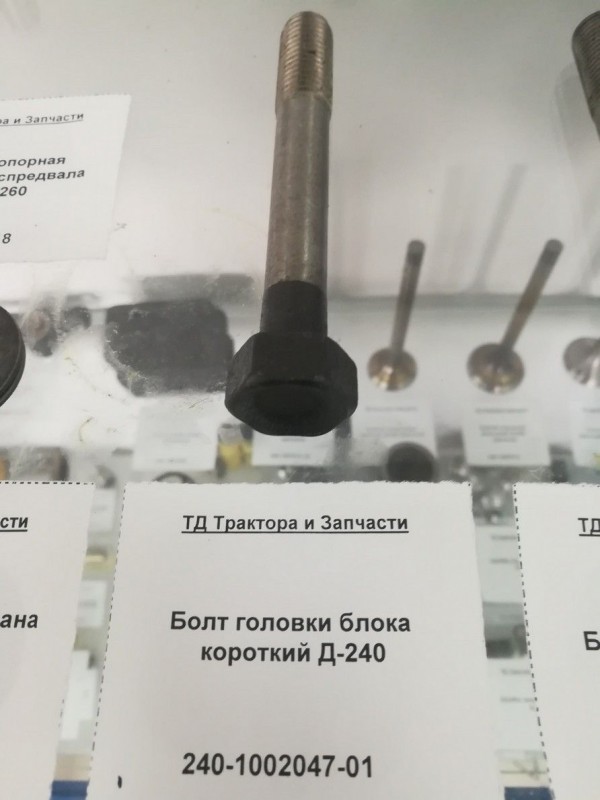 Болт головки блока короткий Д-240 — 2