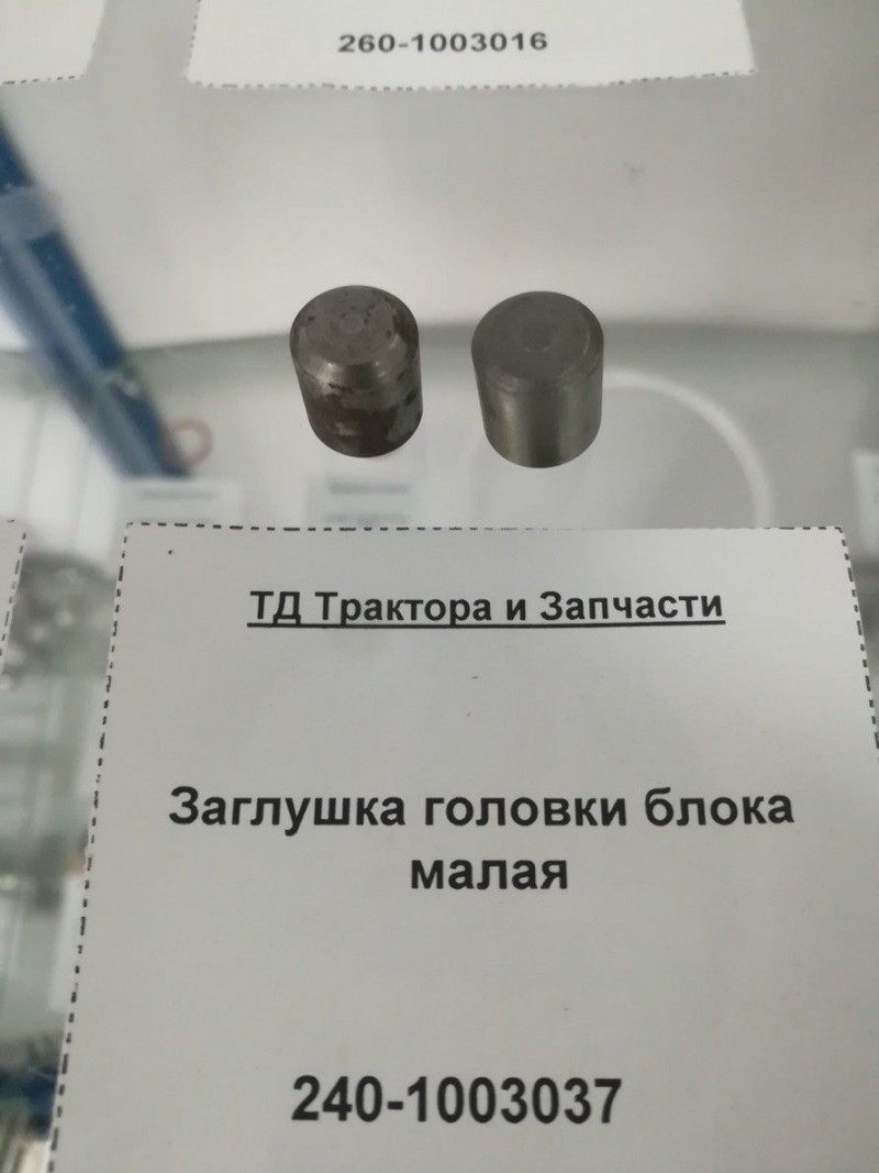 Заглушка головки блока малая — 2