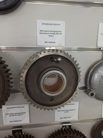 Шестерня распредвала промежуточнаяД-260 (28 град.)