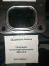 Прокладка коллектор/переходник ММЗ 3LD, миниатюра — 3